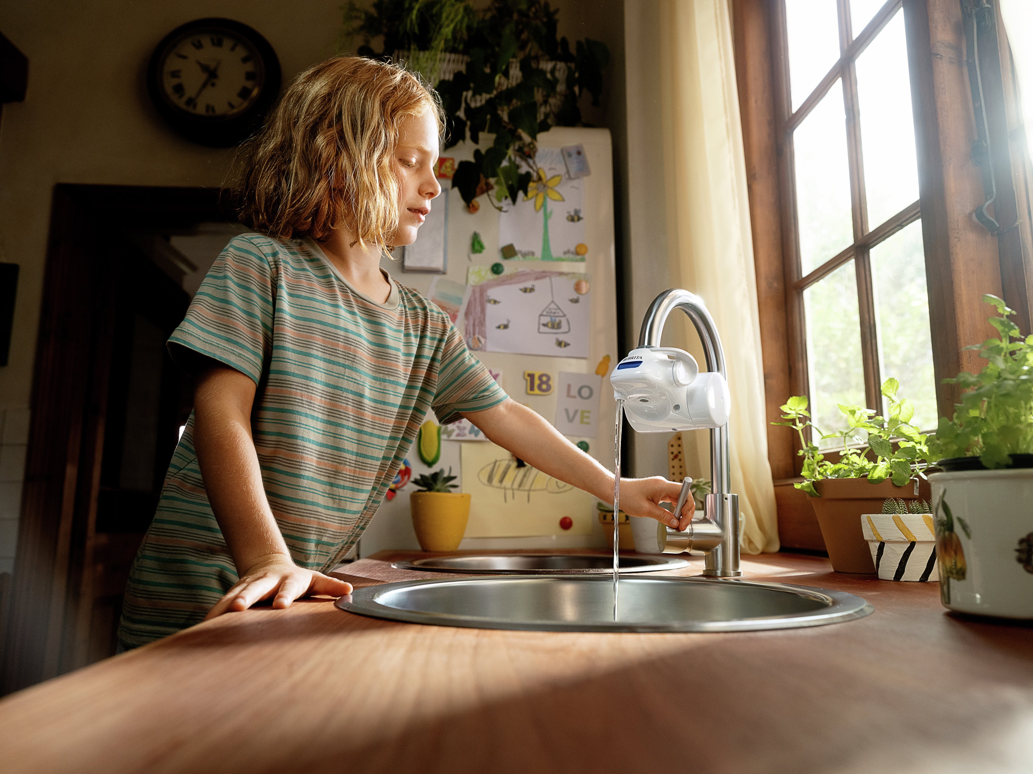 Water Filter Taps